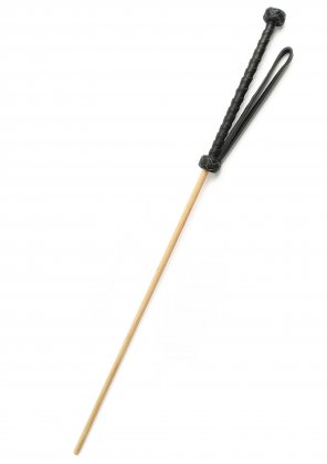 The Obedience Cane