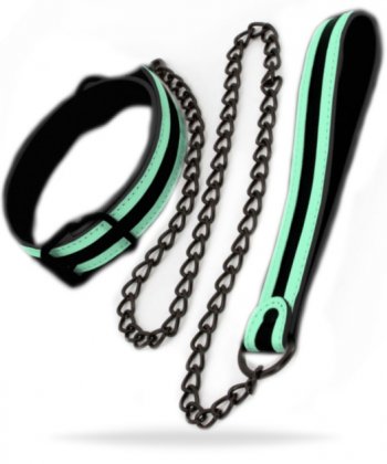 Glo Collar And Leash