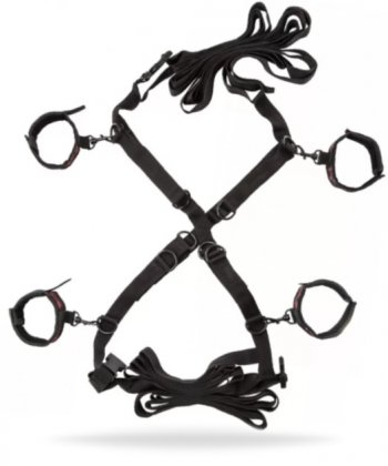 Scandal Over The Bed Cross