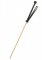 The Obedience Cane