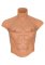Alter Ego Silicone Male Torso Shirt
