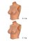 Alter Ego Wearable Breasts Shirt With D-Cup