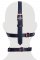 Bad Kitty Head Harness With A Gag