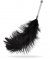 Bad Kitty Feather Wand