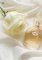 Pheromone Parfum For Her After Dark