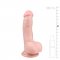 Realistic Dildo Flesh - 15 cm