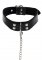 Taboom Elegant Collar and Chain Leash