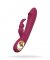Taygeta Pleasure Rabbit