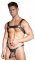 Zado Harness