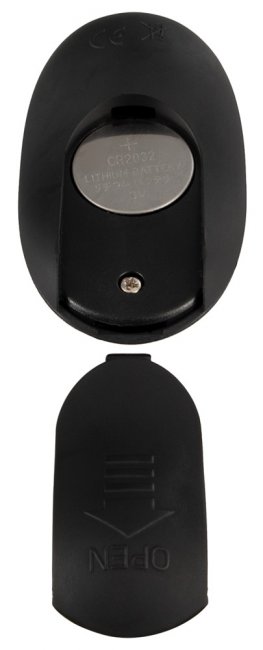 Cock And Ball Ring With A RC Butt Plug