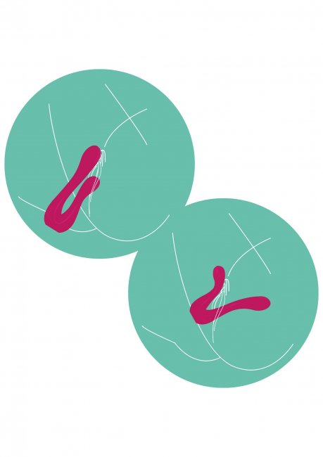 Sync Sensation Vibrator