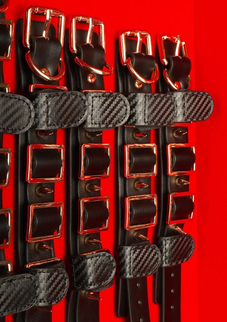 Desires Masterpiece Case