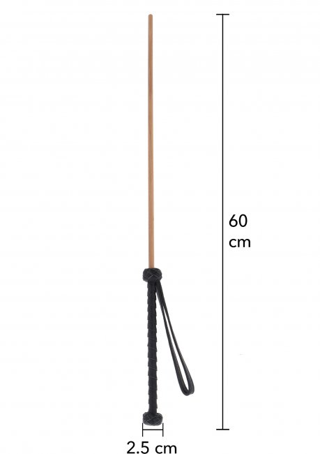 The Obedience Cane