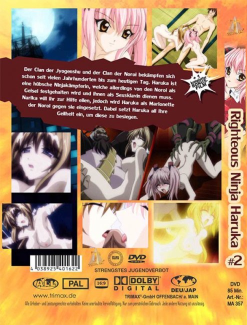 Righteous Ninja Haruka 2