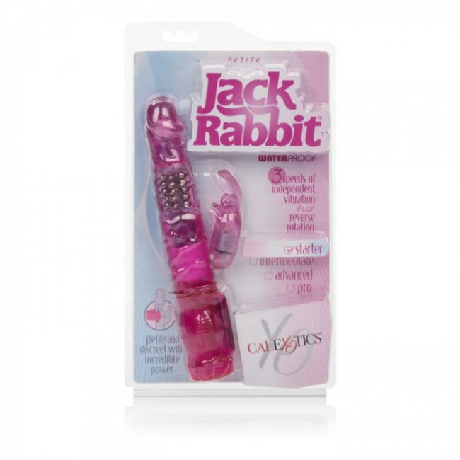 Petite Jack Rabbit