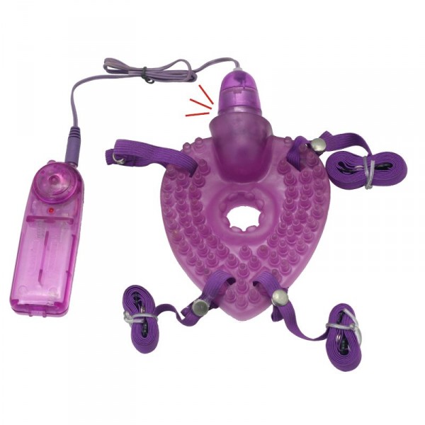 Timeless Pleasure Turtle