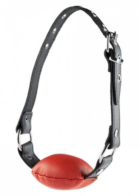 Hidden Desire Silence Gag