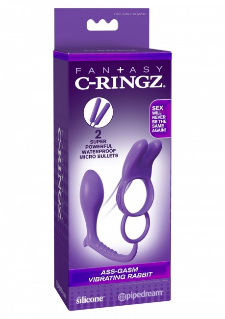 Lila penisring med en analplugg som sitter fast. Tillverkad av mjuk silikon. Batteridrivna vibratorer som är fjärrstyrda.