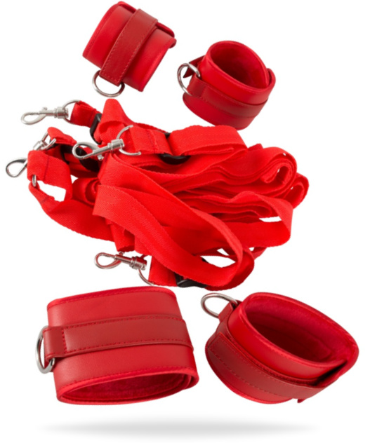 Bad Kitty Bed Restraint Set