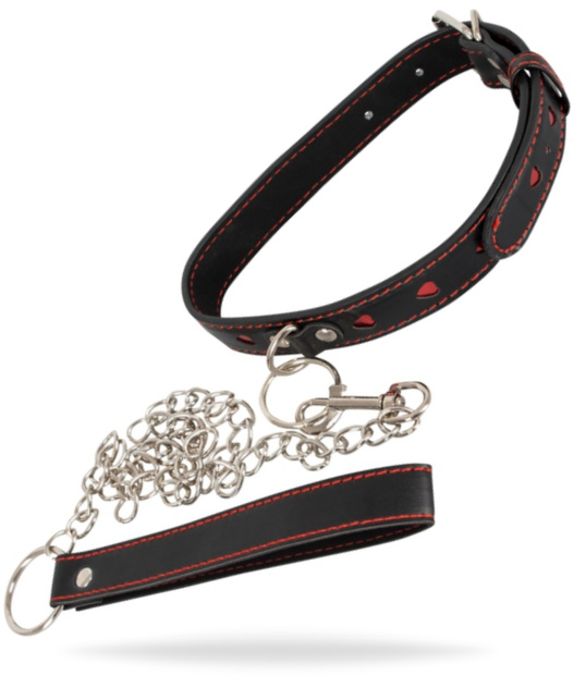 Bad Kitty Collar and Leash