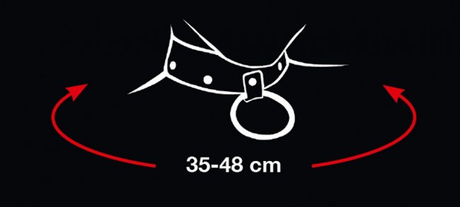 Bad Kitty Collar and Leash