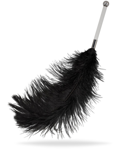 Bad Kitty Feather Wand