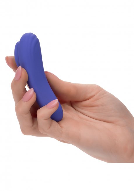 CalExotics Connect Panty Teaser