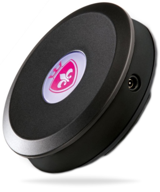 Mystim Sultry Subs Receiver 3