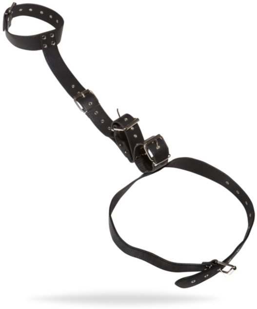 Neck and Hand Restraints