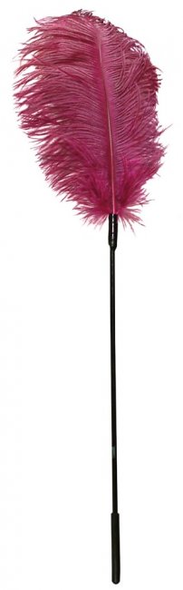Ostrich Feather Pink