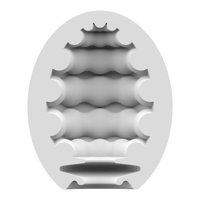 Satisfyer Masturbator Egg Riffle