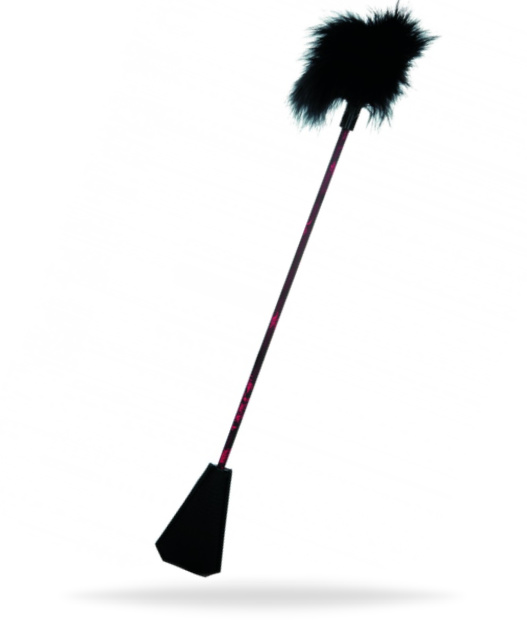 Sexig piska och fjäder i ett med ett långt handtag. Tillverkad av högkvalitativa material med en vacker design.