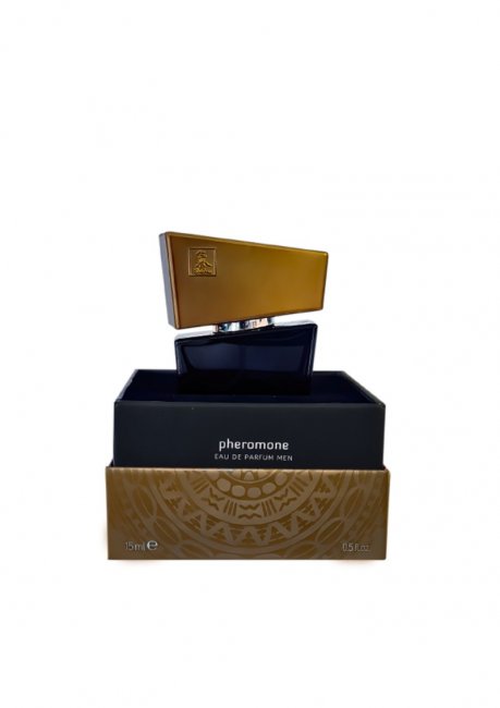 Shiatsu Pheromone Men Gray