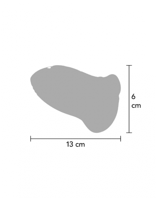 The Kisser Stimulator