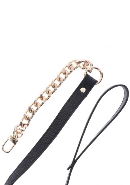 Taboom Statement Collar and Leash