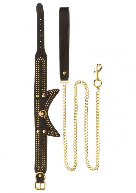 Taboom Studded Collar and Leash