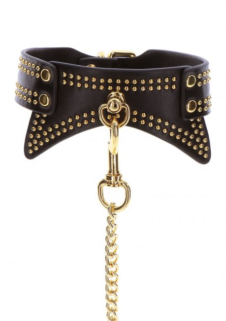 Taboom Studded Collar and Leash