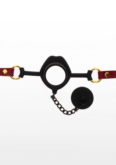 Taboom Kinky Gag with Plug