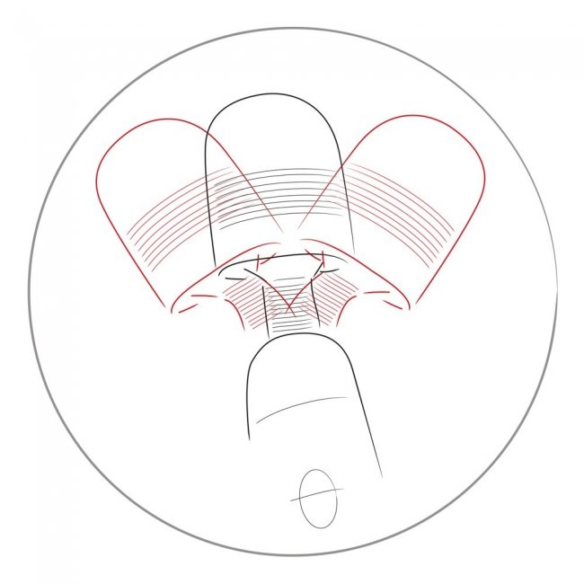 Women's Spa Massager