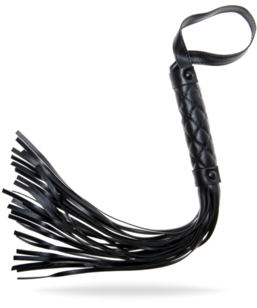 X -Play Whip
